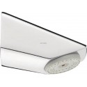 Pomme de douche fixe à grille orientable réf. 29110
