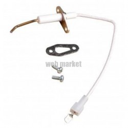 Electrode d'ionisation Remplace la réf. 60000867 TALIA GREEN 30 HYBRID Réf. 60000867-01