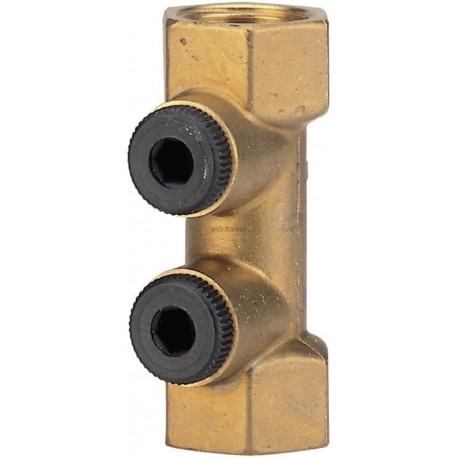 Clapet antipollution bb 2 purges FF 15x21 2224100