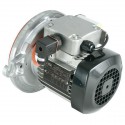 Moteur LS 63 120W Réf. 60077
