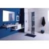 Paroi droite CONCERTO WALK 70 cm, hauteur 2m, verre trempé 6 mm, traité anticalcaire, profilé argent satiné largeur 1,6cm. Li