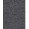 Plaque DECOFAST Béton clair 2000x900x3mm Réf.400354