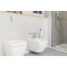 Plaque de commande WC ARENA COSMOPOLITAN S Chromée Réf. 37624000
