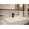 Distributeur de savon liquide AddStoris noir mat Réf. 41745670