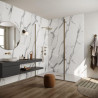 Système de panneaux muraux étanches Polyrey Nuance support composite profil bord arrondi + languette - Marbre Veneto M022 finition EXM - 260x120cm x 11,7mm Réf.940104