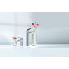 Mitigeur monocommande Lavabo Taille XL Eurodisc Cosmopolitan Chromé 23432000