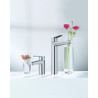 Mitigeur monocommande Lavabo Taille XL Eurodisc Cosmopolitan Chromé 23432000