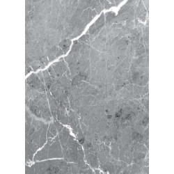 Panneau mural en alu-composite aspect aragon L1000 x H2550mm épaisseur 3mm - Coloris Anthracite surface brillant