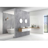 Panneau mural en alu-composite aspect aragon L1000 x H2550mm épaisseur 3mm - Coloris Anthracite surface brillant