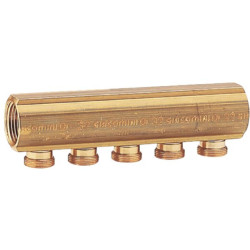 Collecteur de distribution R580/6 1"X16 Réf.R580Y066