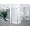 Porte de douche pivotante Young 1B 72 extensibilité 72-76Cm verre trempé transparent profilés silver Réf : Y21B72-1B