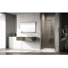 Porte de douche pivotante Young 1B 72 extensibilité 72-76Cm verre trempé transparent profilés silver Réf : Y21B72-1B