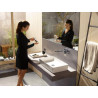Mitigeur de lavabo encastré mural HG Metropol bec 225 mm poignée manette réf. 32526000