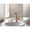 Mitigeur monocommande Lavabo Taille L Essence Warm Sunset brossé Réf. 24174DL1