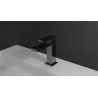 Mitigeur lavabo TABULA Regular avec vidage Up & Down Chromé Noir Réf. TA22072