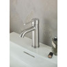 Mitigeur lavabo monocommande ESSENCE taille S Supersteel Réf. 24171DC1