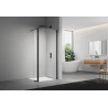 Volet mobile pour paroi Walk-in ALTERNA PLENITUDE WALK largeur 30 cm profilé noir mat, verre transparent traité anticalcaire