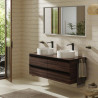Mitigeur de lavabo VIVENIS 250  bec haut sans tirette ni vidage Noir mat Réf. 75042670
