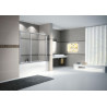 Porte de douche battante avec un fixe en alignement Young 2P 137 extensibilité 137-141Cm verre trempé transparent profilés silver Réf. Y22P137-1B