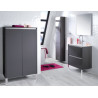 Colonne Coiffeuse Alterna Plénitude 1 porte 40 cm Anthracite, poignée titane