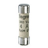 Cartouche industrielle cylindrique gG 8x32 mm avec voyant 10 A Ref.012410
