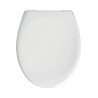 Abattant en résine thermodurcissable, Esterel Premium, bactéricide, blanc, à fermeture ralentie, 2,3 kg réf. 95900310
