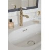 Mitigeur lavabo CLEO1889 avec vidage chromé Réf. E24307-CP