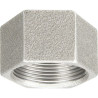 Bouchon hexagonal 300 fonte malléable galvanisée femelle 40x49 réf.300040G