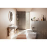 Mitigeur de lavabo 80  Rebris S Coolstart sans tirette ni vidage Chromé Réf. 72514000