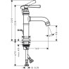 Mitigeur lavabo 100 avec tirette et vidage AX Montreux surface Chromé Réf. 16515000