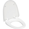 Abattant complet pour AQUACLEAN 8000, gris manhattan réf. 250034CG1