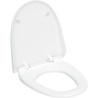 Abattant complet pour AQUACLEAN 8000, gris manhattan réf. 250034CG1