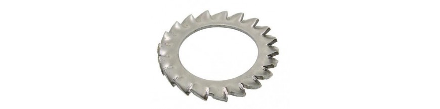 Rondelles éventails