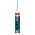 Mastic silicone
